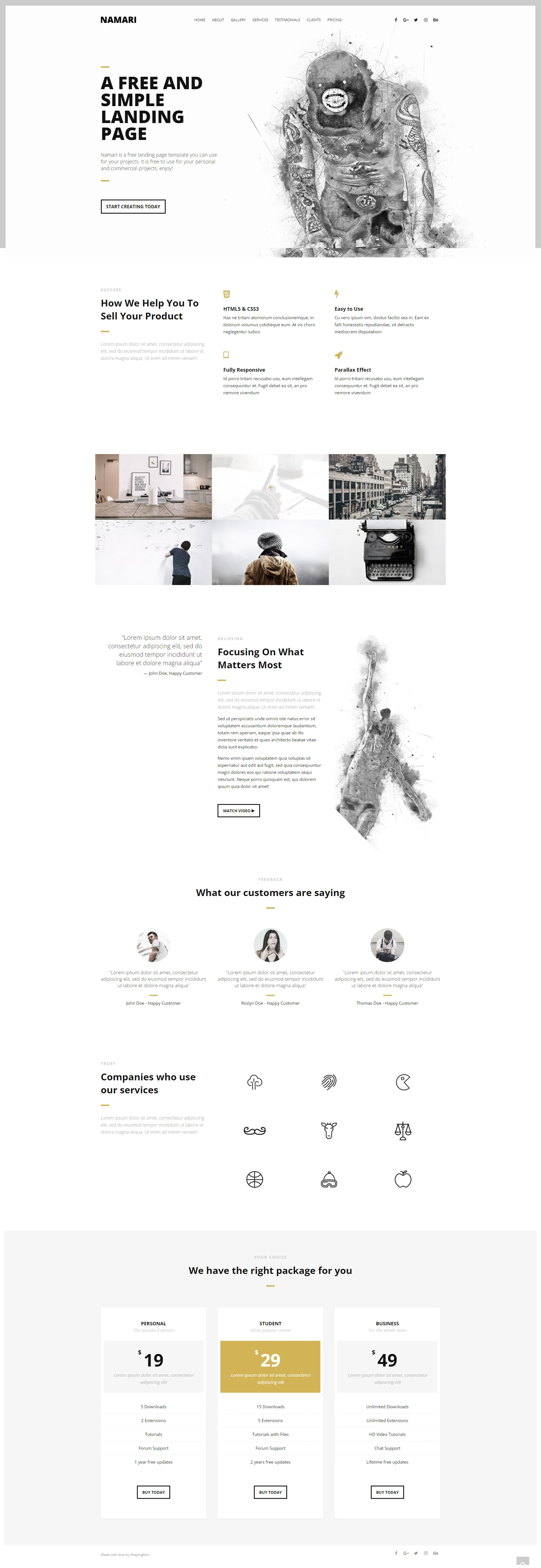 namari Website Template